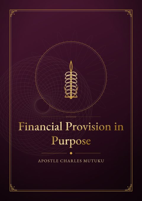 Cover of Financial Provision in Purpose
